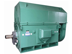 JR147-6Y系列6KV高压电机