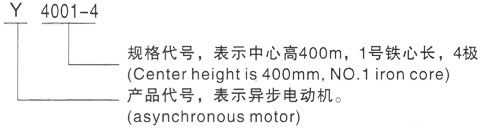 西安泰富西玛Y系列(H355-1000)高压JR147-6三相异步电机型号说明