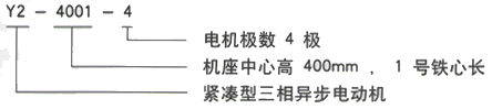 YR系列(H355-1000)高压JR147-6三相异步电机西安西玛电机型号说明